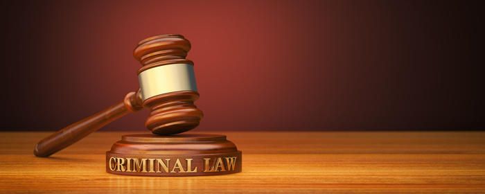 Gavel and word Criminal law
